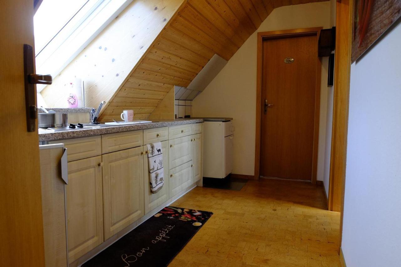 Schwarzwild - Ferienwohnung Und Ferienzimmer Baiersbronn Exterior photo